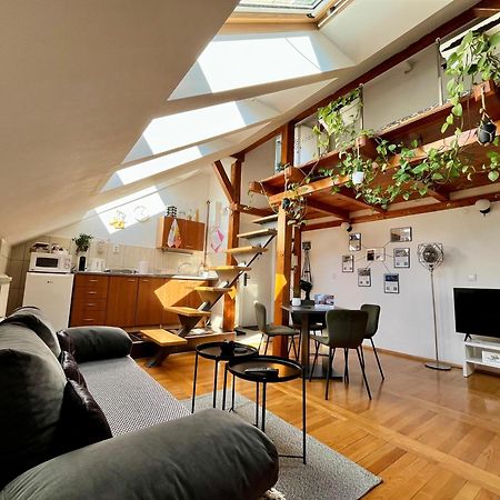 Captain Misha'S Place 贝尔格莱德 外观 照片
