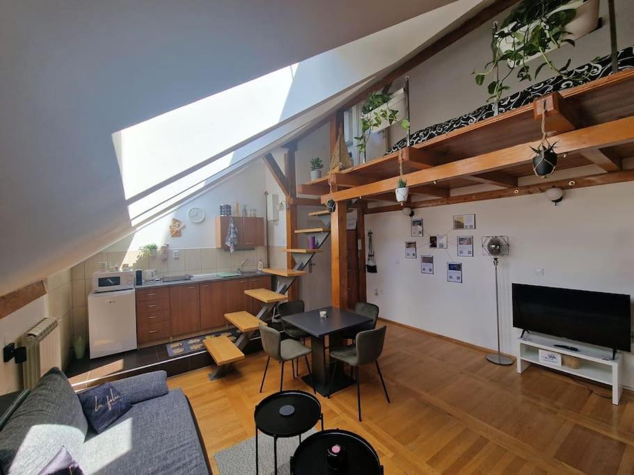 Captain Misha'S Place 贝尔格莱德 外观 照片