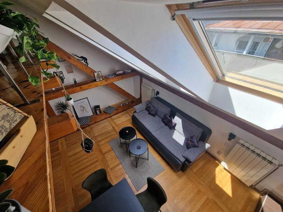 Captain Misha'S Place 贝尔格莱德 外观 照片